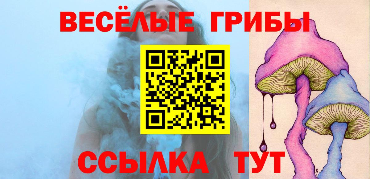 Ликино-Дулёво  Псилоцибиновые грибы Psilocybe  Вход с VPN 